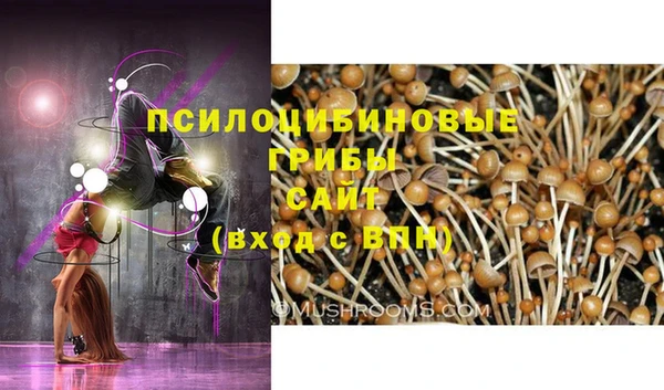 МДПВ Кинешма
