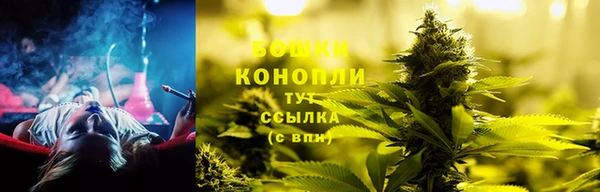 сатива Покачи