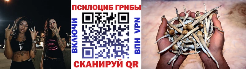Псилоцибиновые грибы мицелий  дарк нет клад  Тотьма  блэк спрут как войти 