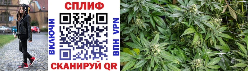 МАРИХУАНА OG Kush Тотьма